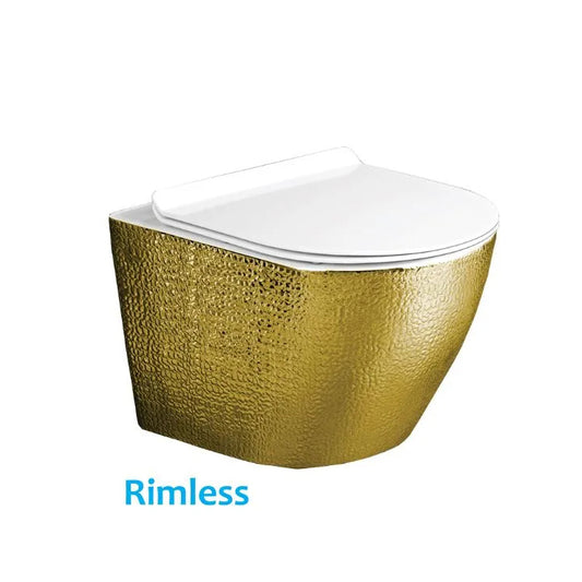 RIMLESS COMPLETE WALL HUNG TOILET