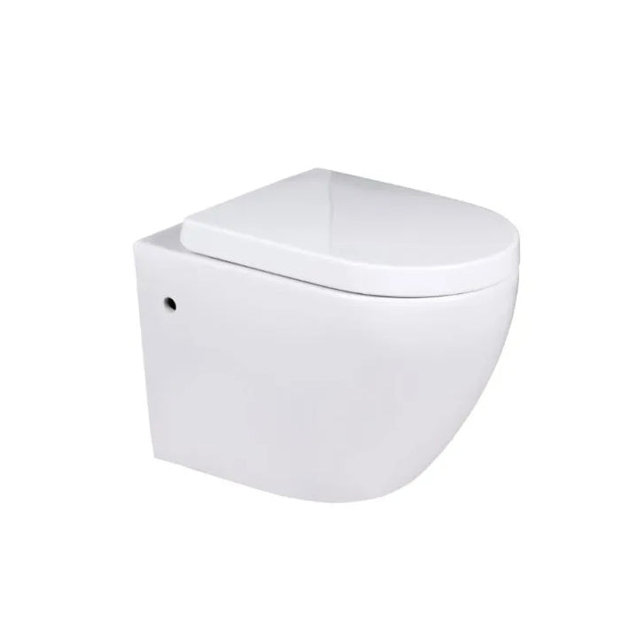 COMPLETE WALL HUNG TOILET