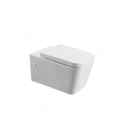 ADVANCE WALL HUNG TOILET