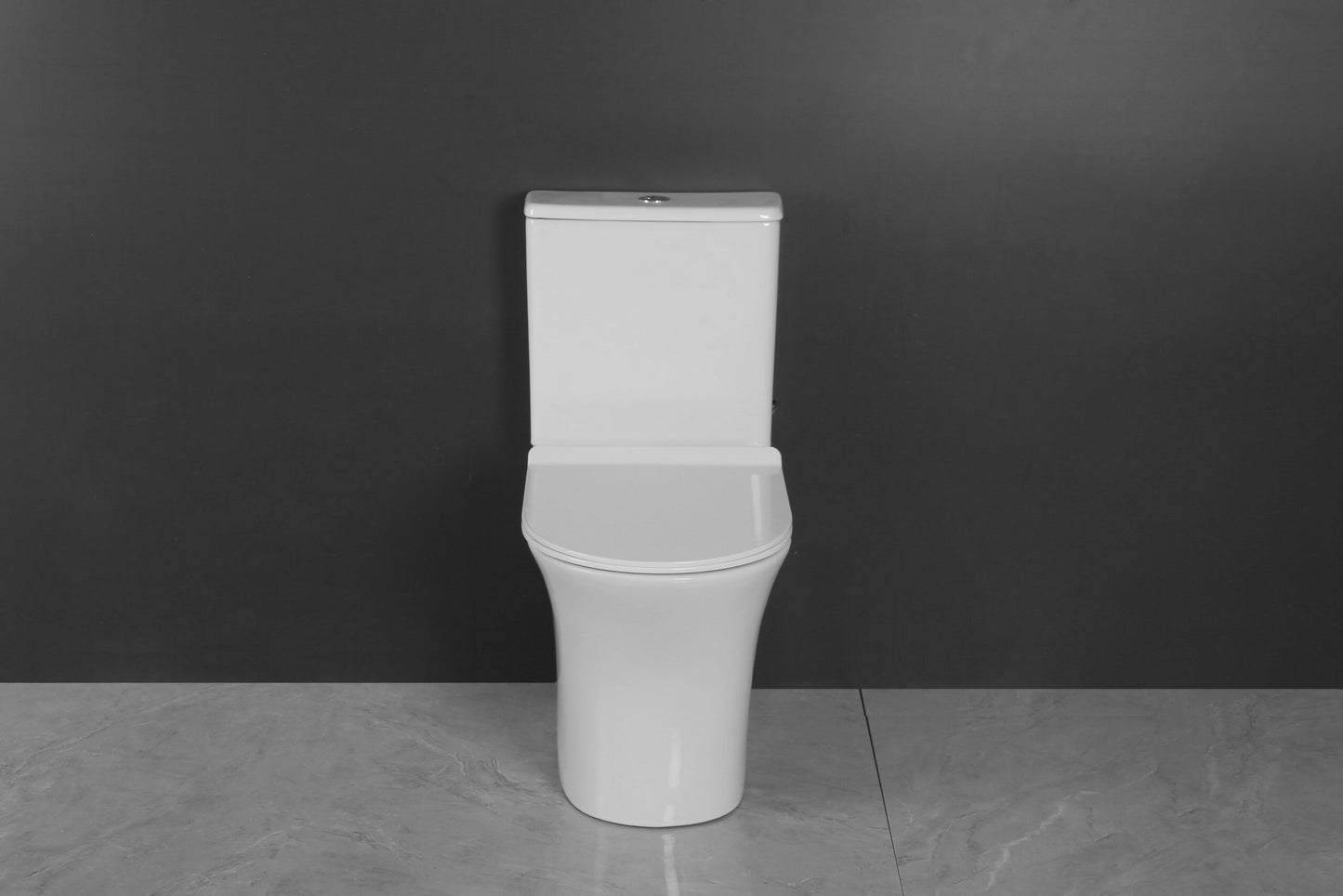 LIA COMPLETE SET TOILET P-TRAP 180MM/S-TRAP 300MM