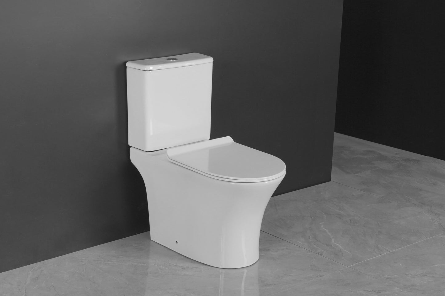 LIA COMPLETE SET TOILET P-TRAP 180MM/S-TRAP 300MM