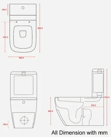 SMOOTH RIMLESS BACK TO WALL TOILET