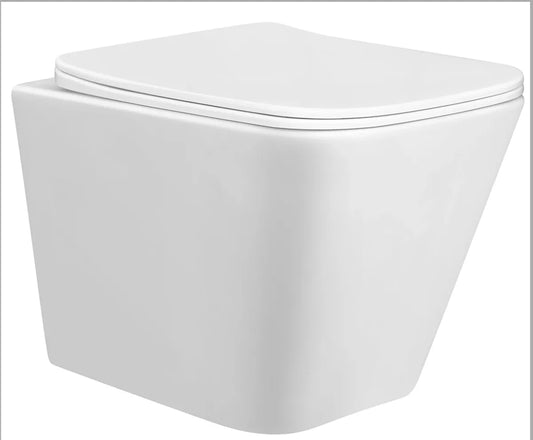 PAROS RIMLESS WALL HUNG TOILET