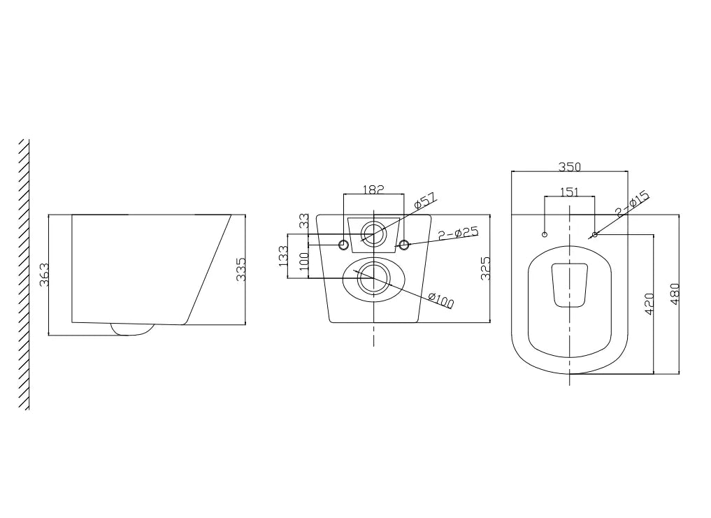 PAROS RIMLESS WALL HUNG TOILET