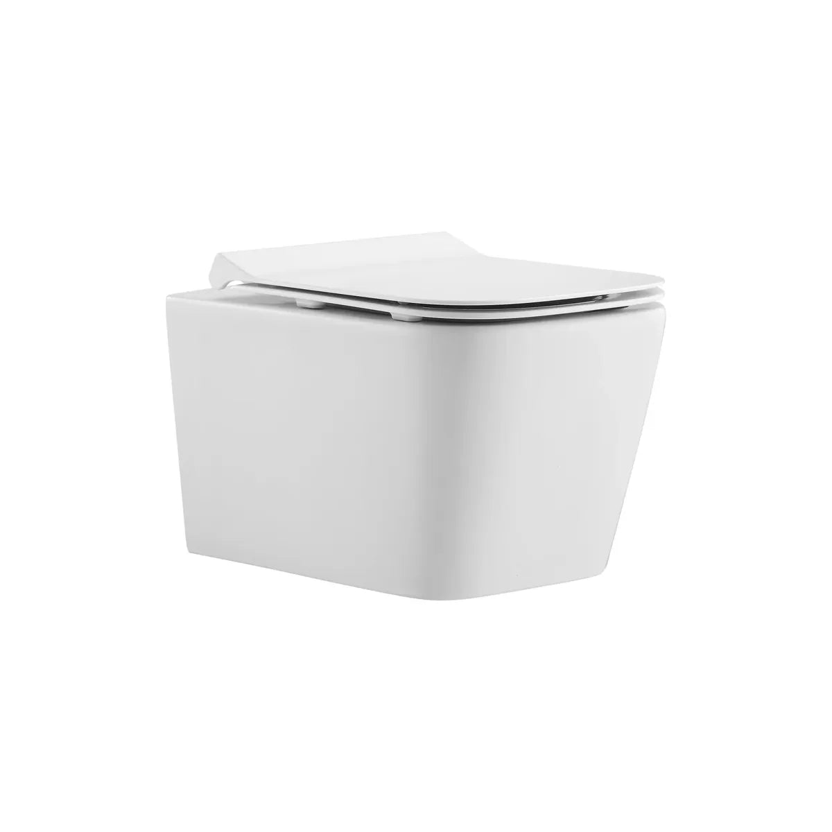 RAMA RIMLESS COMPLETE WALL HUNG TOILET