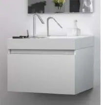 ECSTASY FURNITURE & BASIN